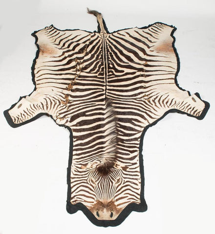 A Zebra Pelt
