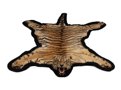 A Taxidermy Tiger Skin